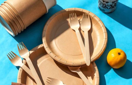 כלים חד פעמיים2